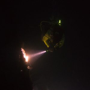 Curso de buceo nocturno